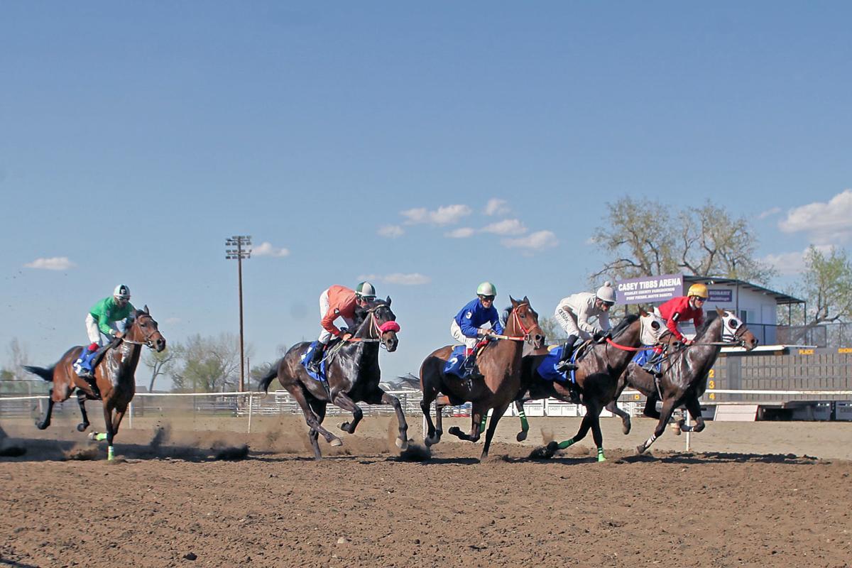 South Dakota horse racing Betting on a longshot Local News Stories