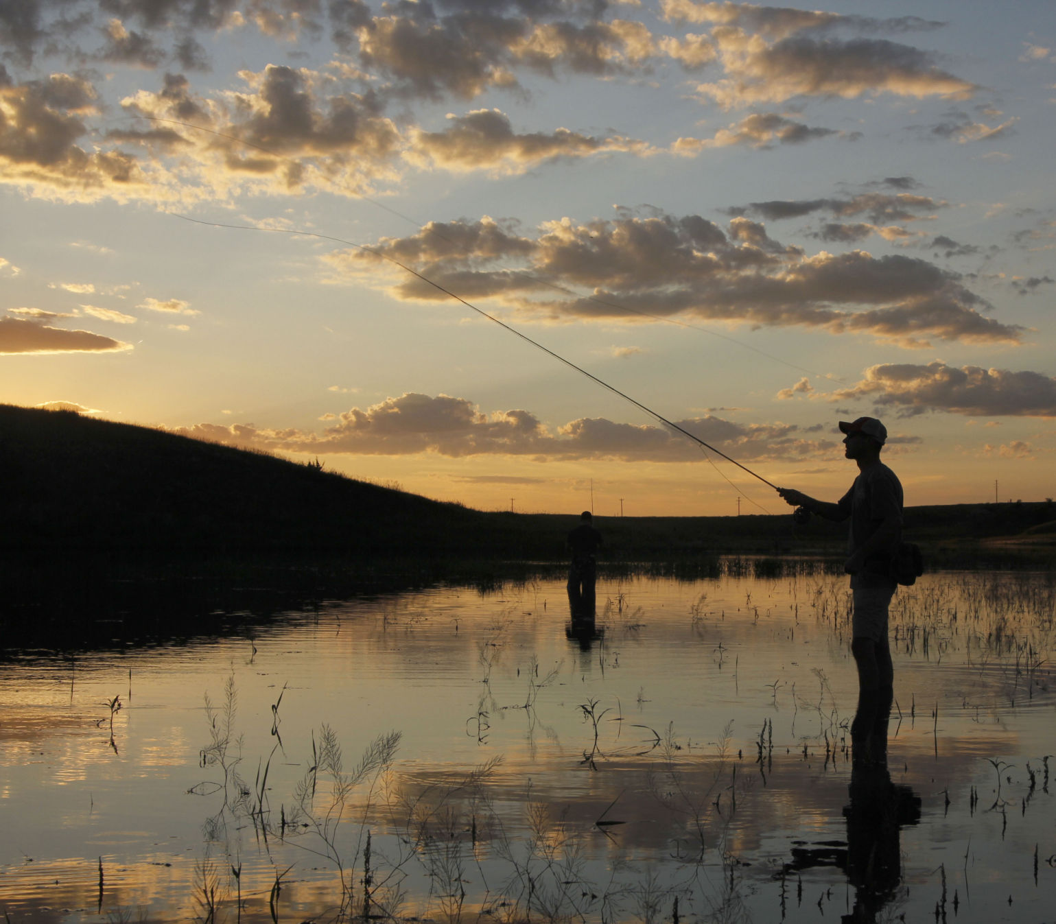 Proof fly deals fishing