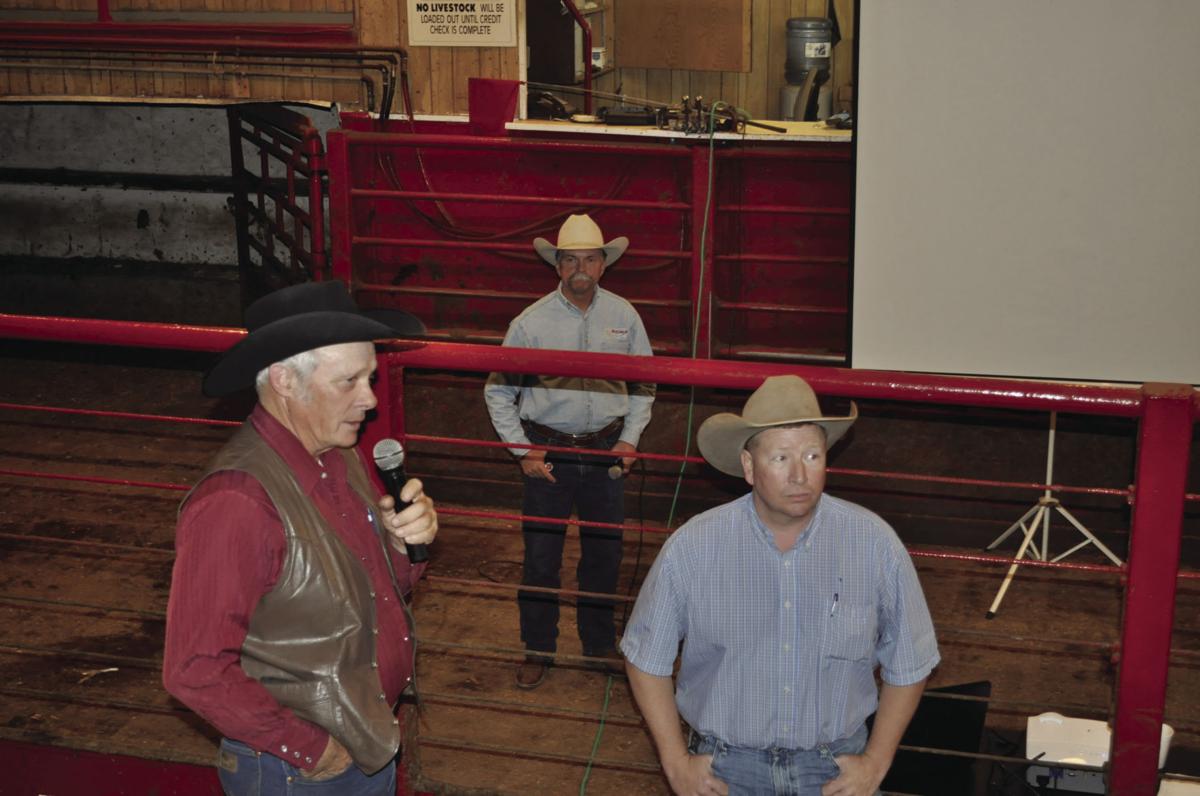Rancher lobbying group sees Trump as hopeful sign for cattle producers