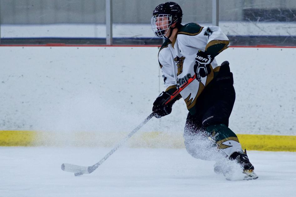 Hockey tryouts to held for Team South Dakota youth teams Local Sports ... picture