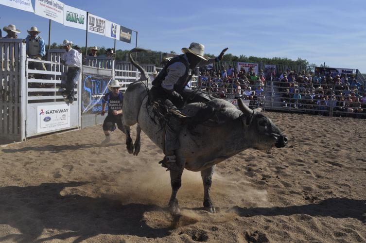 Bulls do well at 2nd Buckin’ on the River in Pierre Local News