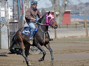 Track and horses getting ready for Fort Pierre horse races next week