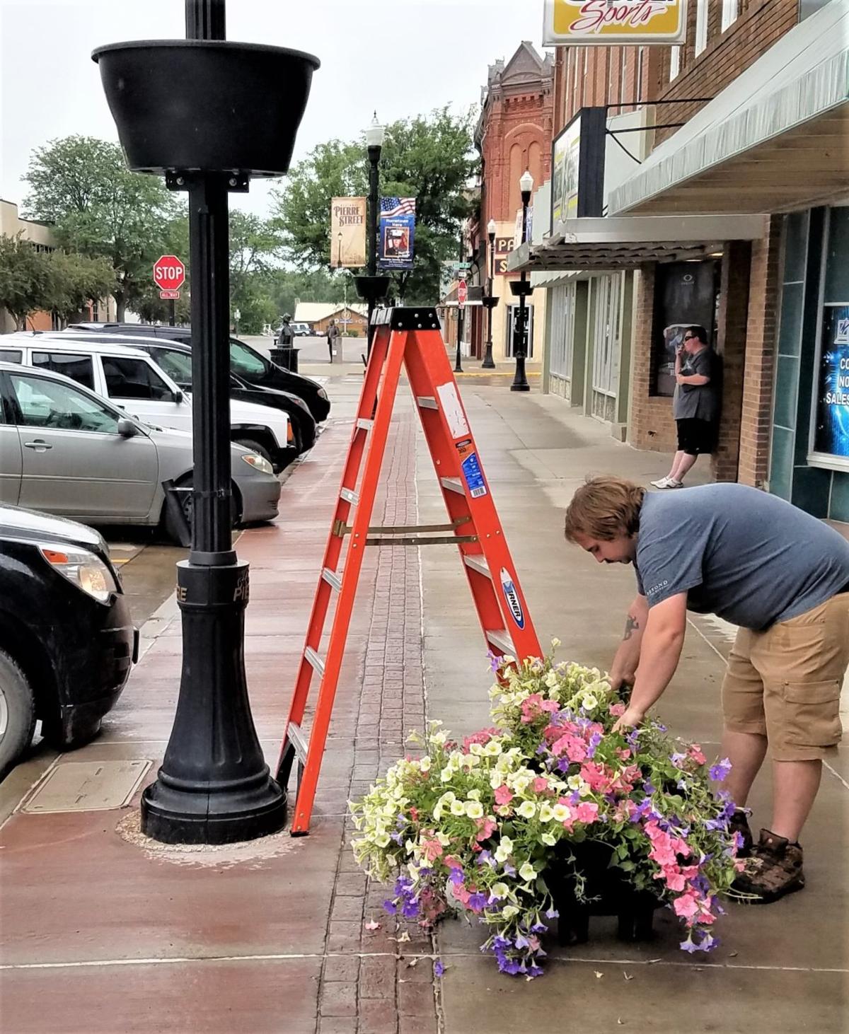 Downtown light poles sprouting flower baskets Community