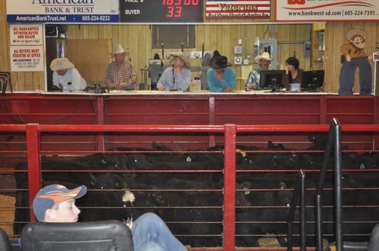 SD cattle producers and sales barns working to avoid what happened to