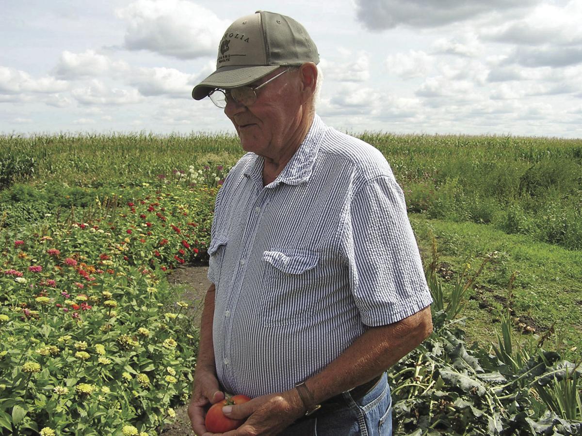 MN food pantries get produce from individuals farmers Local News