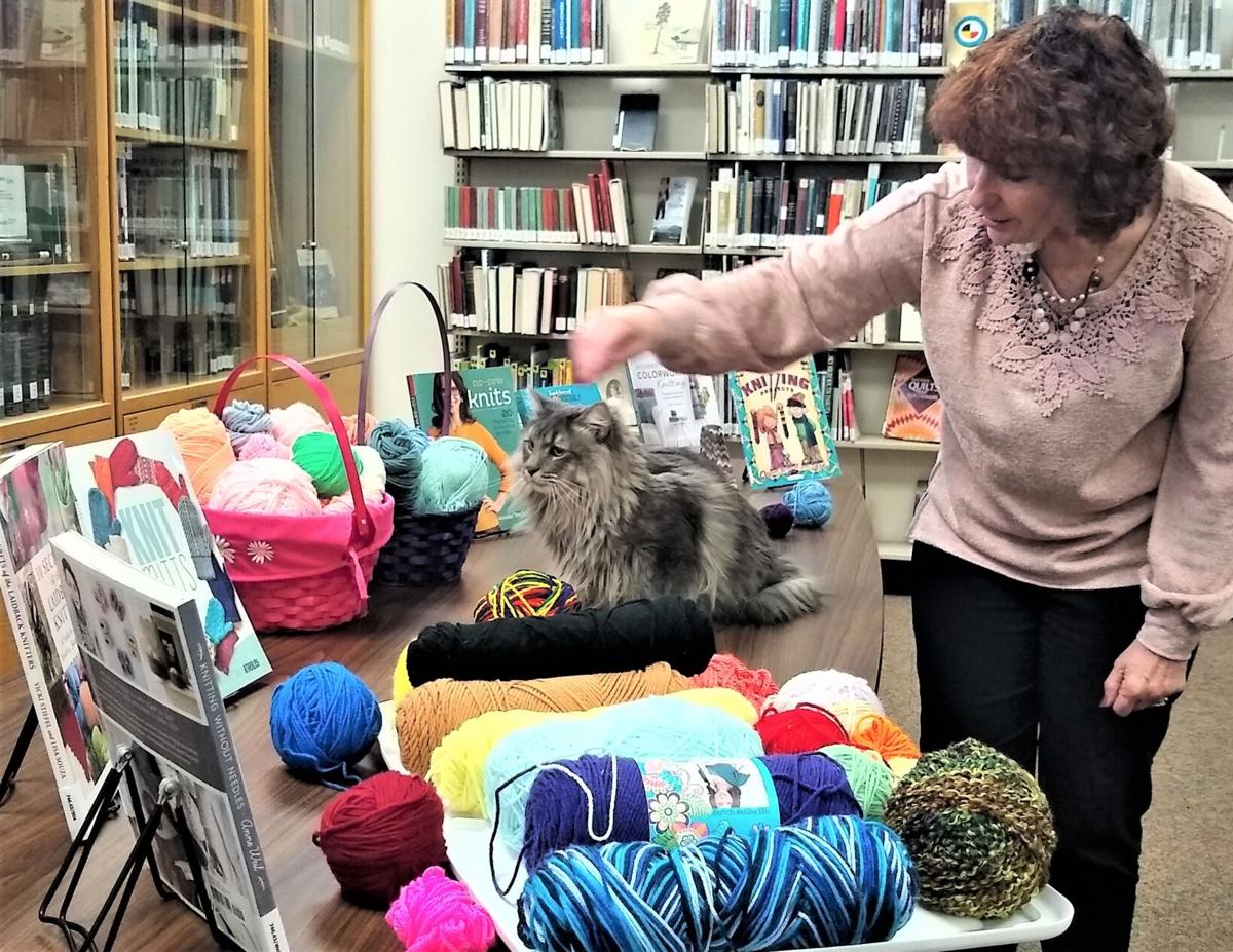 ”Knittin’ for Kittens” begins at Rawlins Library