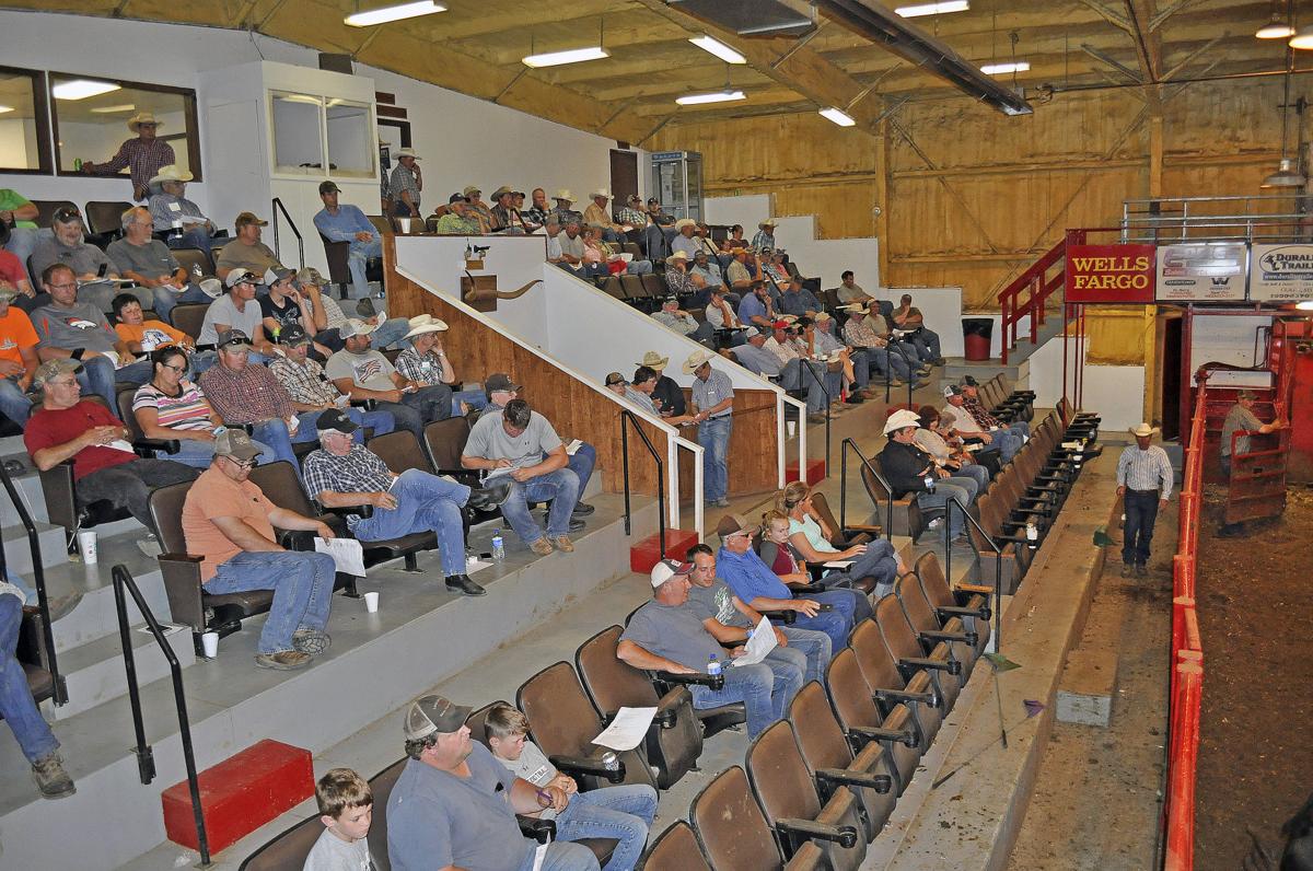 South Dakota livestock producers lack state protection at video sales
