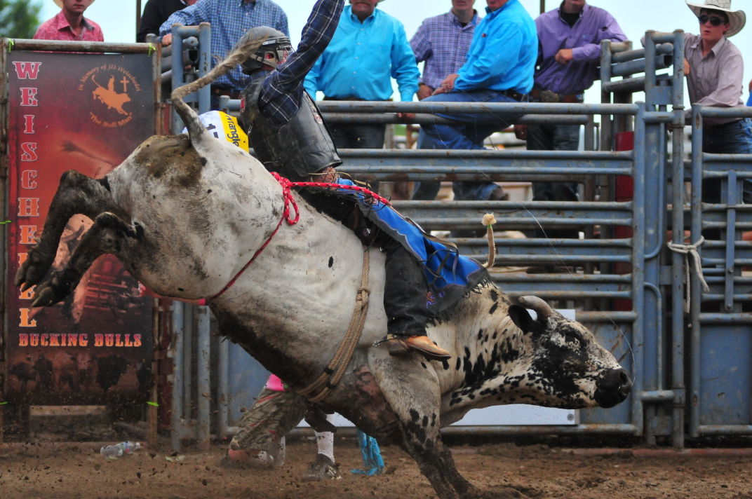 Buckin On the River Gallery