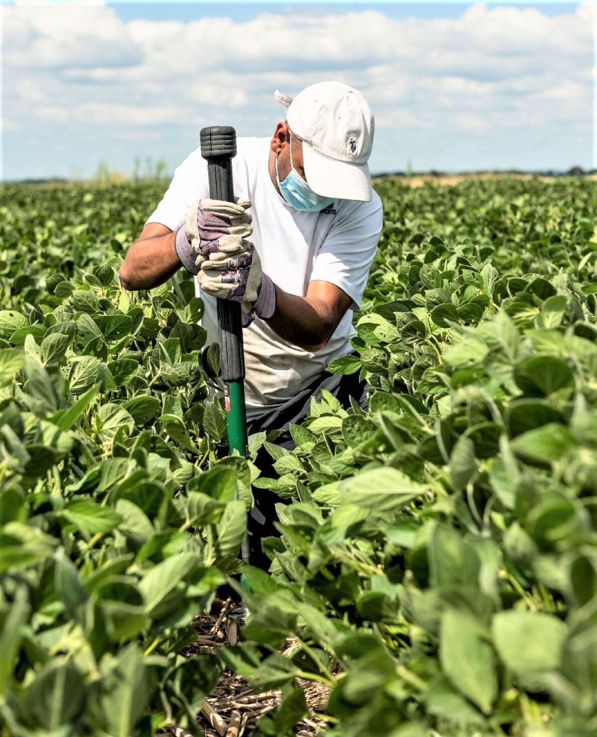 Associate professor Sandeep Kumar of SDSU’s Department of Agronomy, Horticulture and Plant Science takes samples at the Southeast Research Farm near Beresford, South Dakota, to determine the impact a three-crop rotation plan has on soil health. 