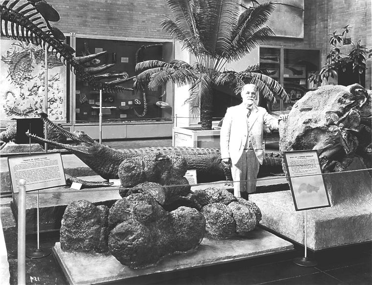 A South Dakota mystery Who stole the fossils from Fossil Cycad