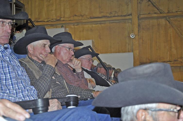 Pandemic causing problems in cattle market COVID19