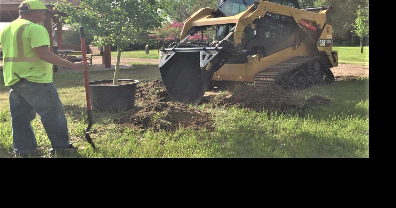 New varieties replacing ash trees at city arboretum Community