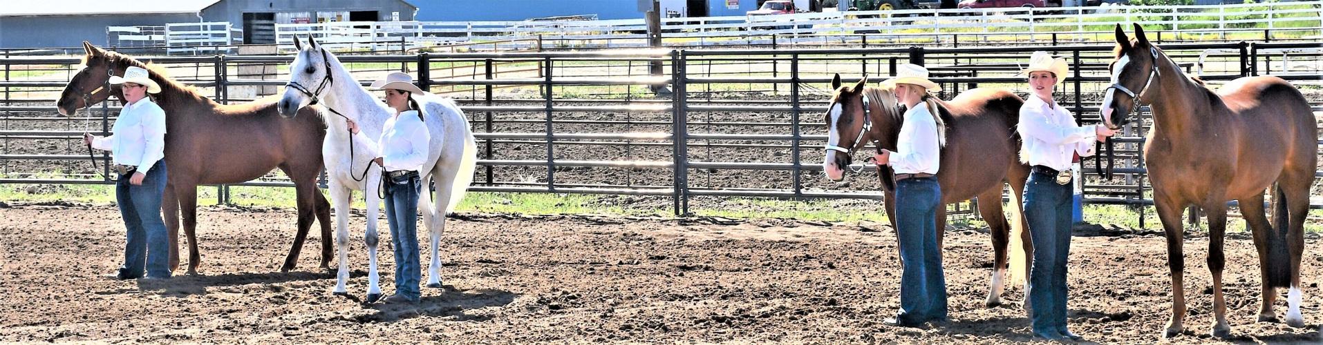 4H Horse Show results Community