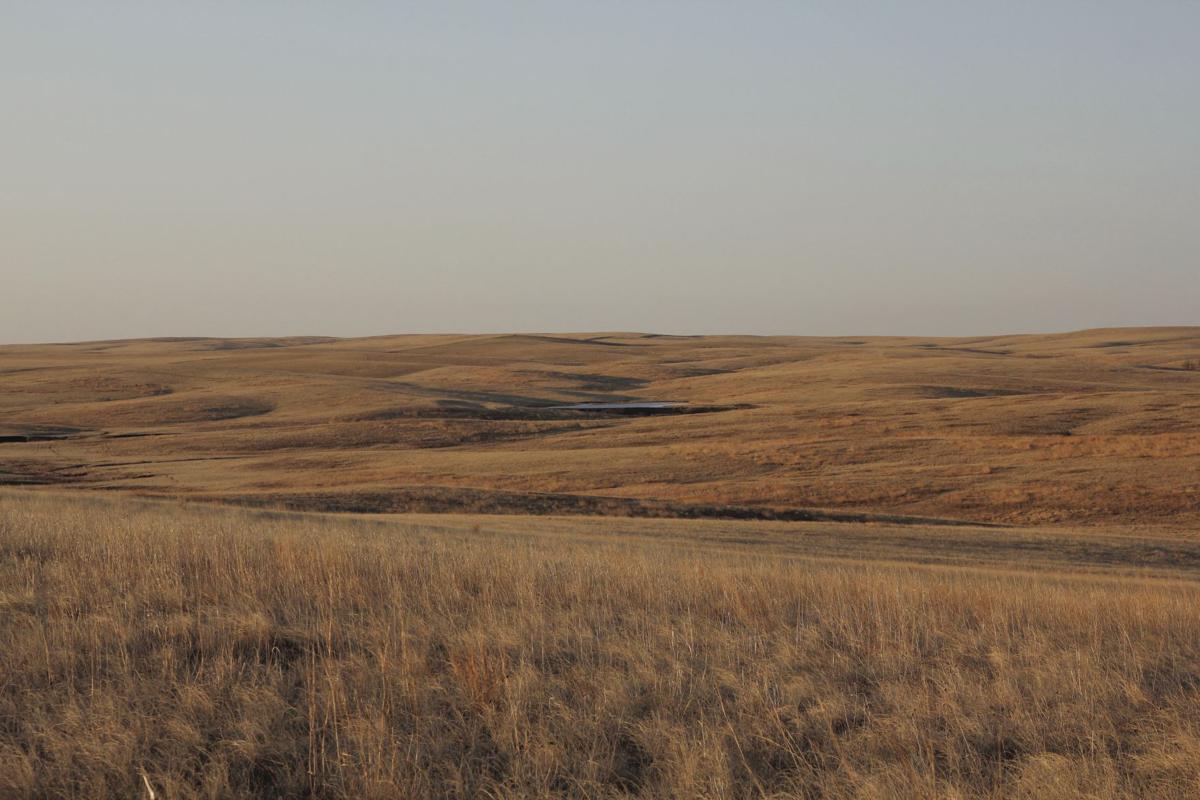 Healthy Grasslands Series Grassland Types in South Dakota Local News