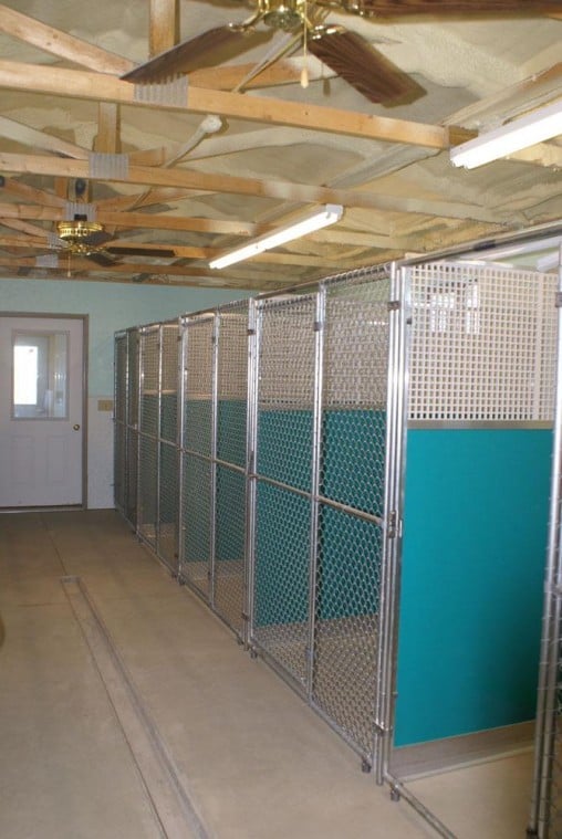 Pierre's New Kennel Gives Dogs Room To Run 