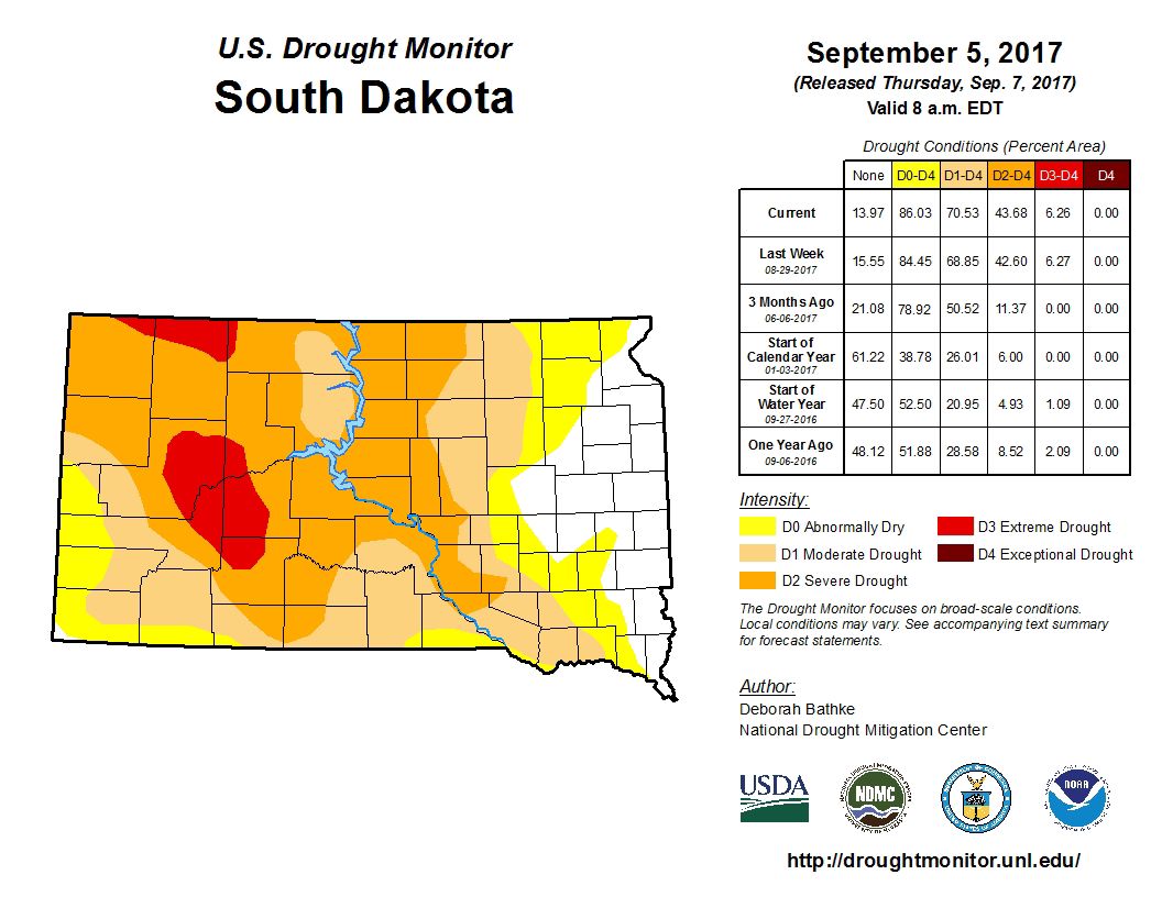 WASDE forecasts corn production up, corn use for ethanol down