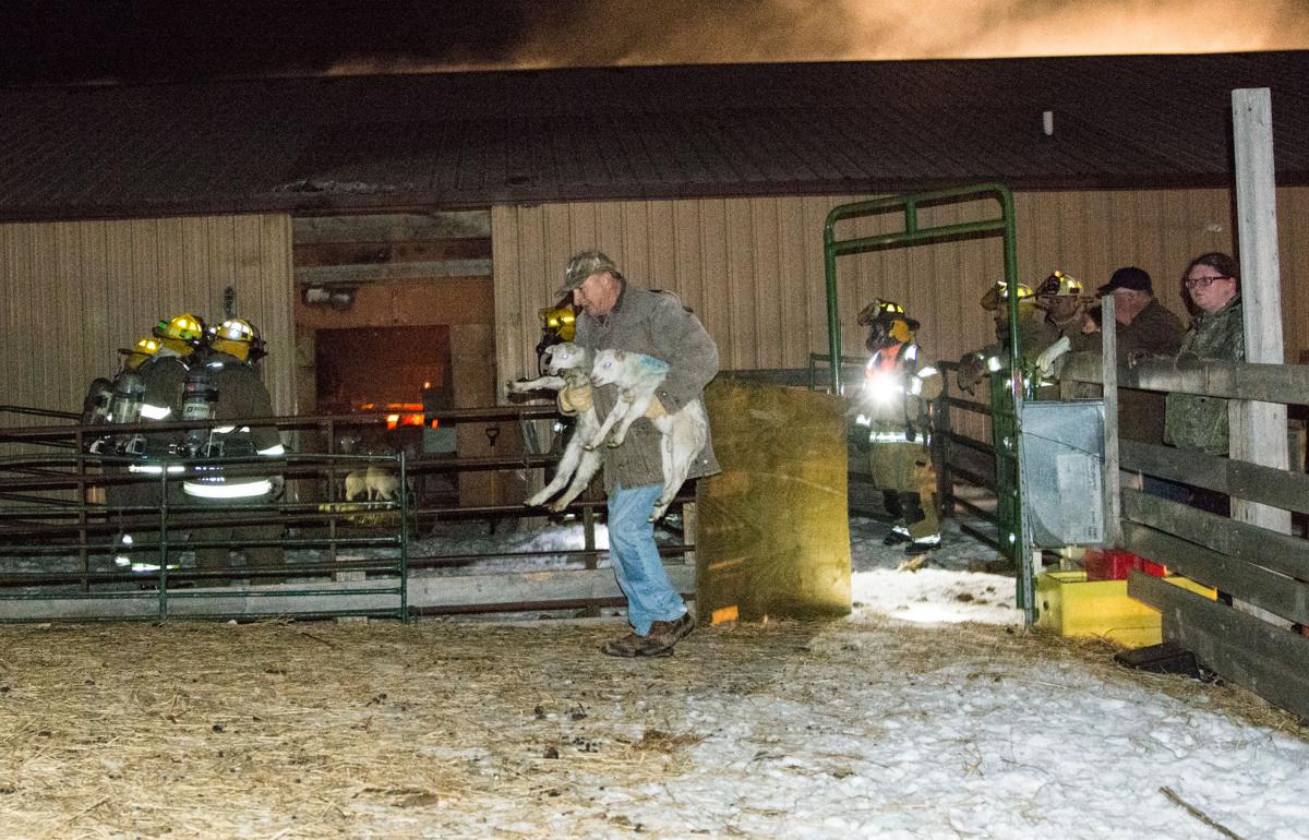 Lambs survive barn fire north of Pierre, surprising owners and