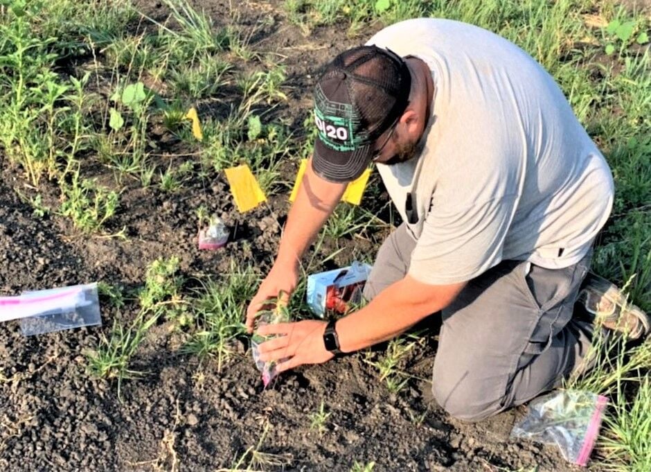 Internships accelerate careers for Agricultural ...