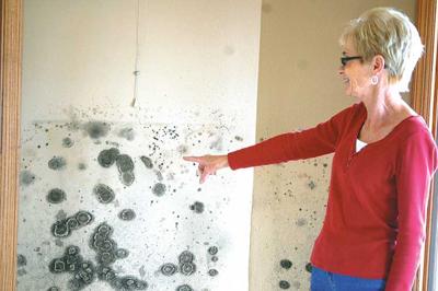 Black Mold Better Safe Than Sorry Local News Stories Capjournal Black Mold Better Safe Than Sorry