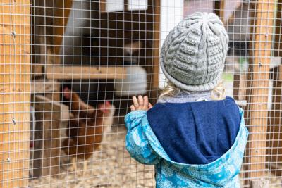 II. Benefits of Children Interacting with Hens