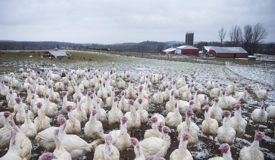 SD turkey industry recovers from 2015 avian flu outbreak