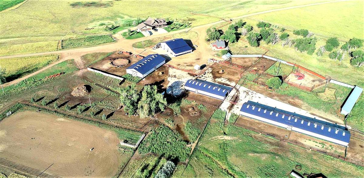 Lottery Winner Wanless Selling 50k Acre Black Hills Ranch For 42m Local News Stories Capjournal Com