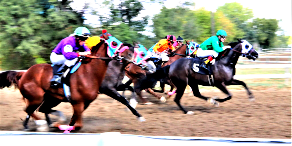 Fort Pierre horse races were a winning October surprise Local News