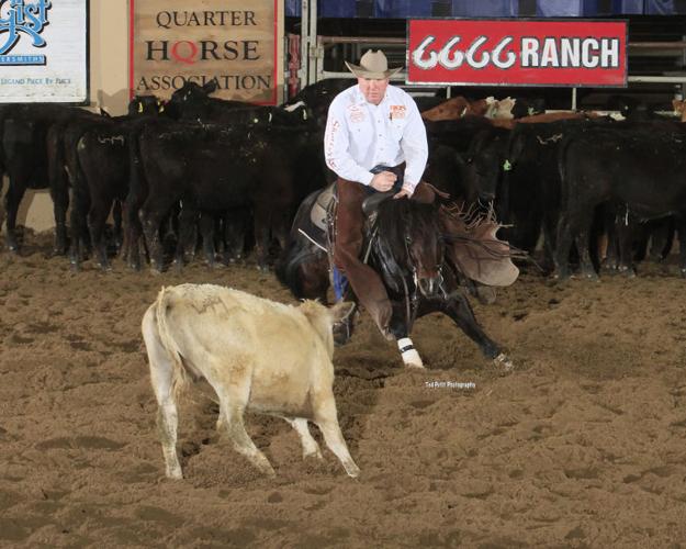 Best cutting horse in the country works here News