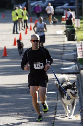 Photos: Dogtoberfest's Six-Legged Race | Local News | captimes.com