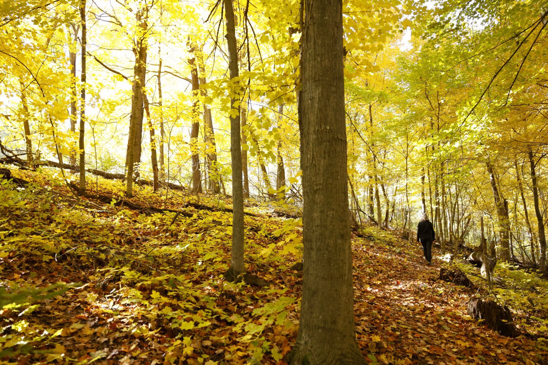 Wisconsin S Ice Age Trail Finally Gets On National Park Service Map   65720b90626f4.preview 