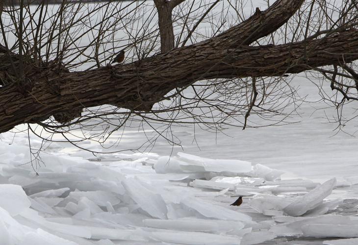Photos Ice along Lake Mendota Local News
