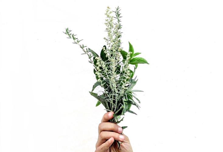 Things to do in Madison Soup's On!, 'Tosca,' herb fair and more Entertainment