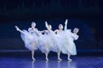 Trockadero Swan Lake 4Swans photo VitoLorusso.jpg