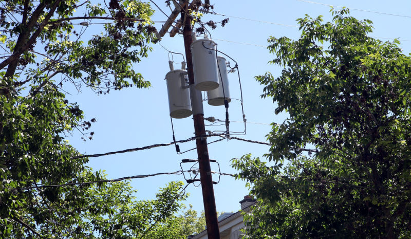 Photos: Ash tree chemical injection demonstration | Local News ...
