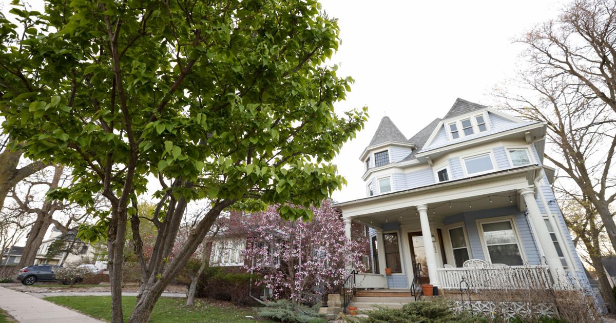 Madison plants hundreds of trees each year. Which streets get them?