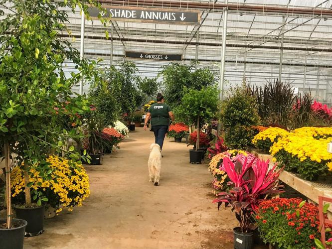 Fitchburg Farms child care 3