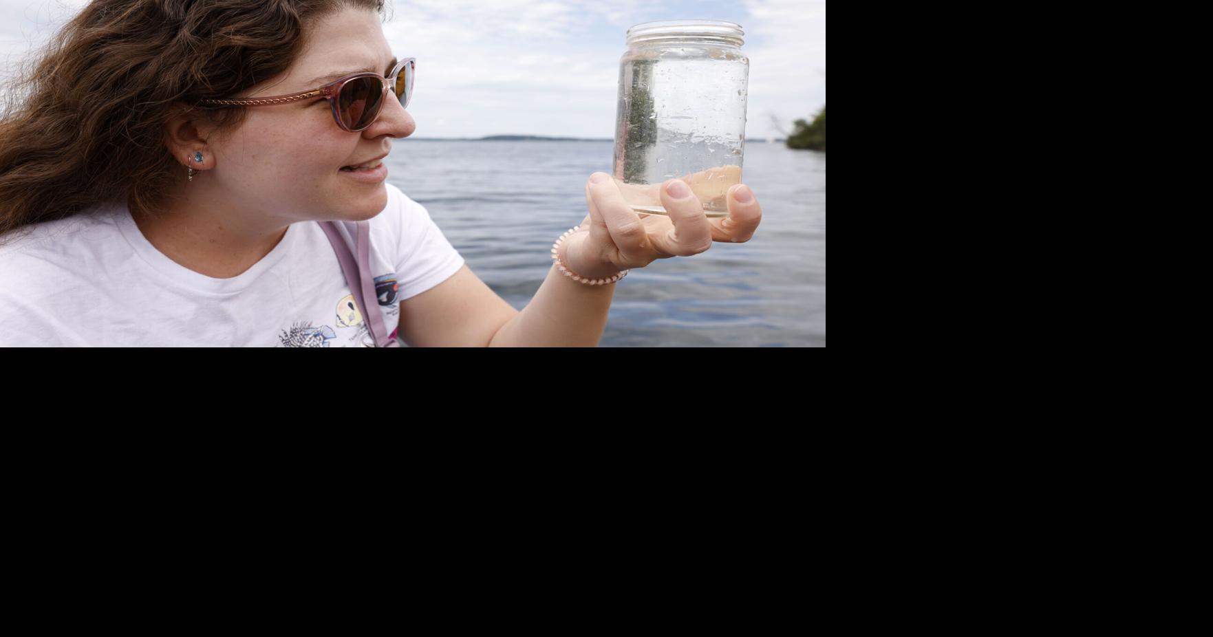 Madison lakes show encouraging trends despite recent algae blooms