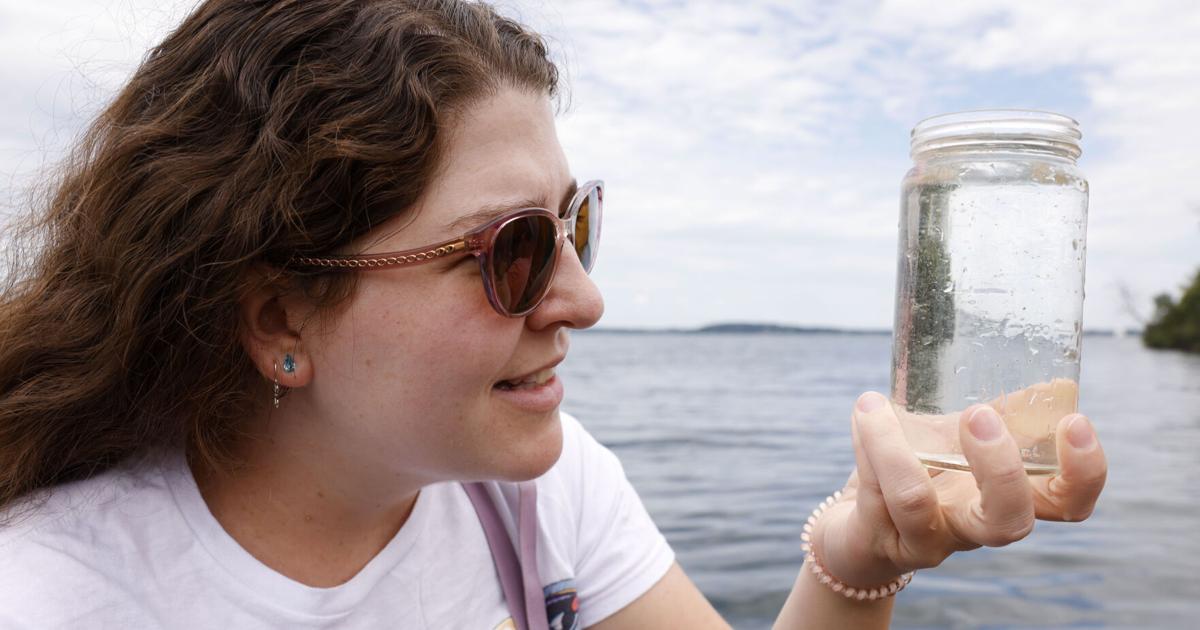 Madison lakes show encouraging trends despite recent algae blooms