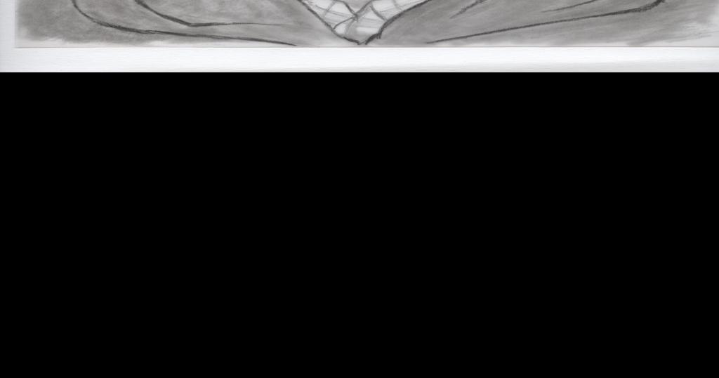 Police release sketch of assault suspect | Local News | captimes.com