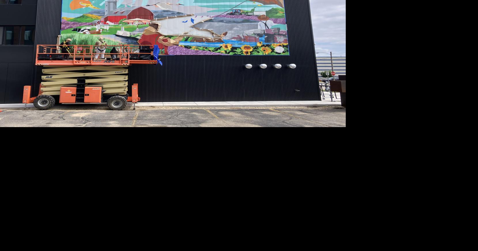 A Madison nonprofit promotes public art. Artists warn of red flags.