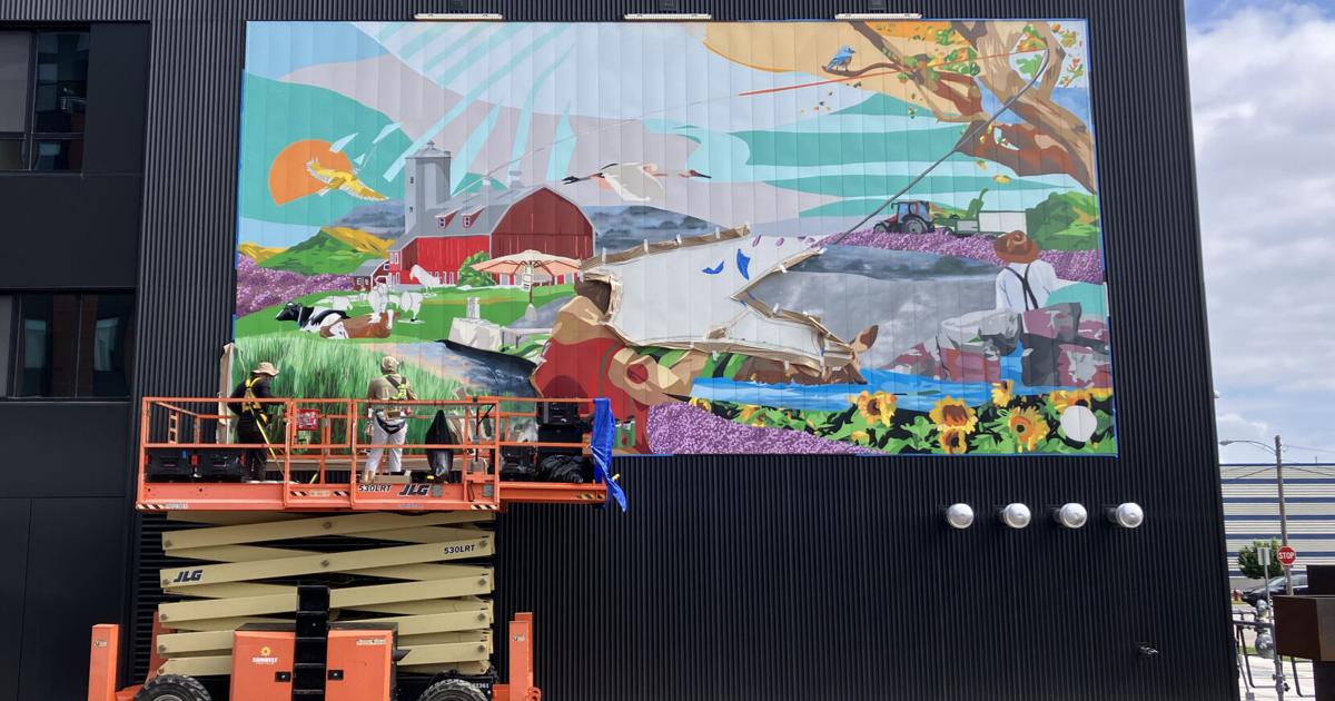 A Madison nonprofit promotes public art. Artists warn of red flags.