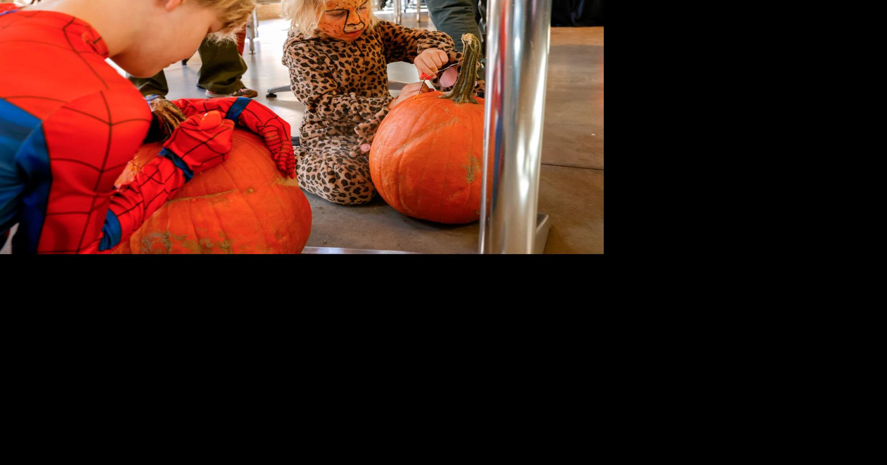 5 fun events happening in Madison this week, Oct. 29-Nov. 4 🎃👨‍🍼🕺