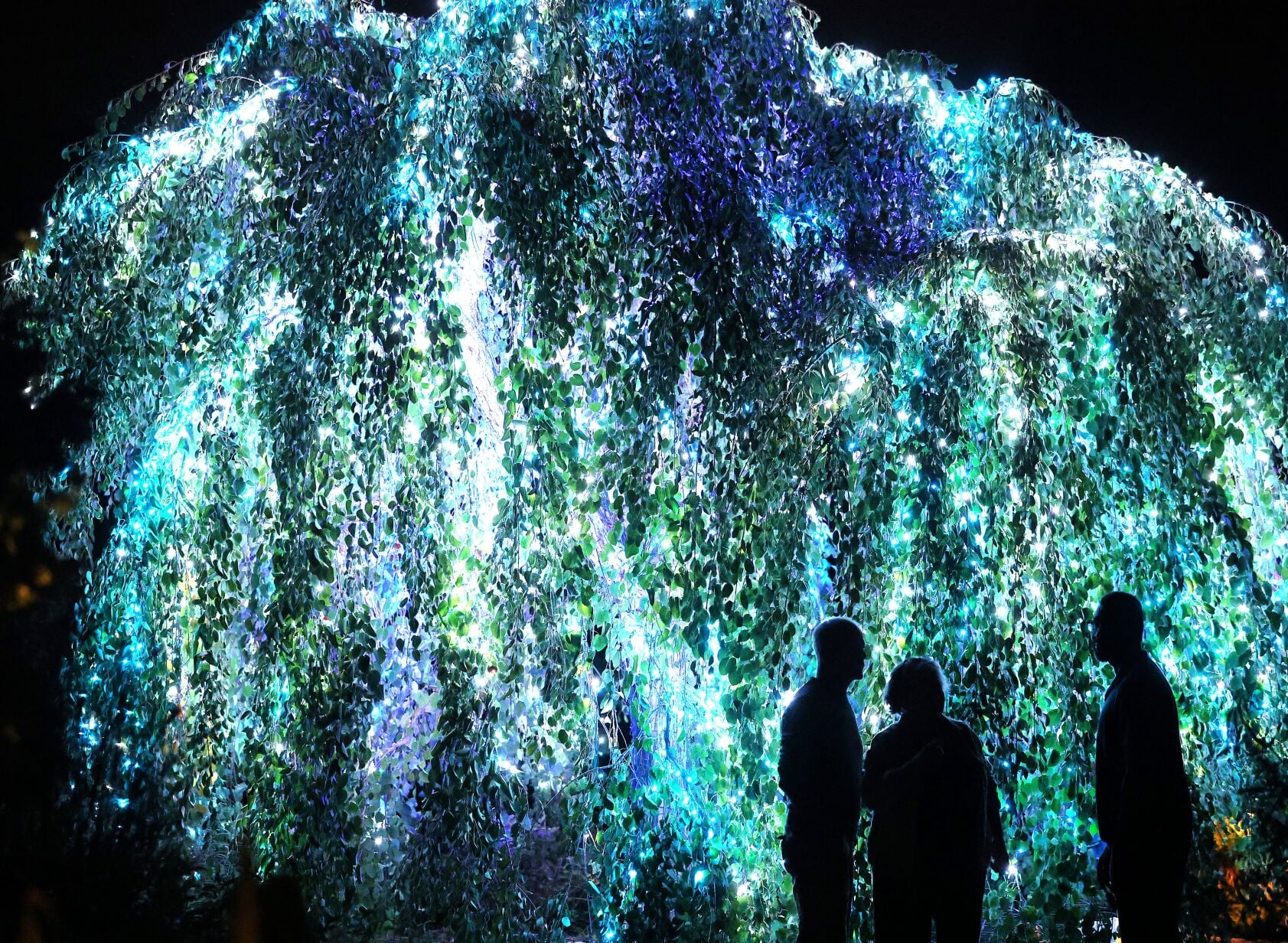 689d275513ad8.image.jpg?resize