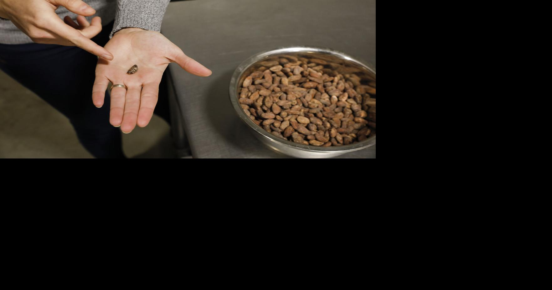 Bean-to-Bar Black Sheep Chocolate hace dulces con conciencia |  Comer beber