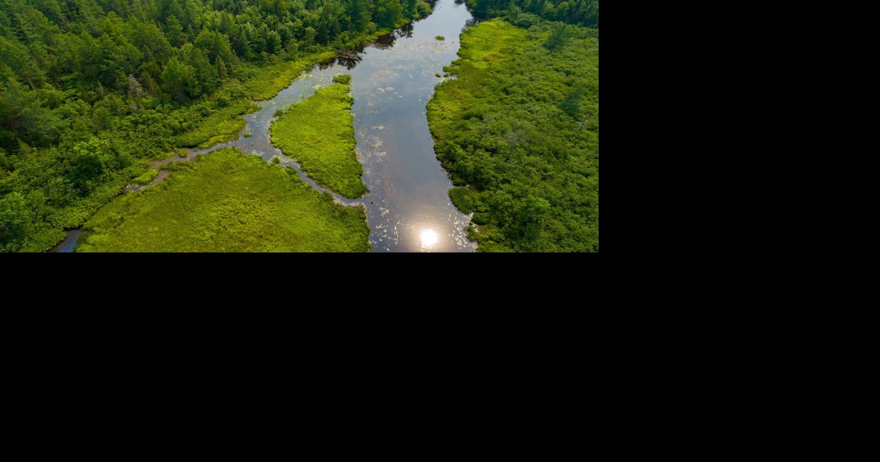 Two wins for Wisconsin conservation efforts | Guest Columns | captimes.com
