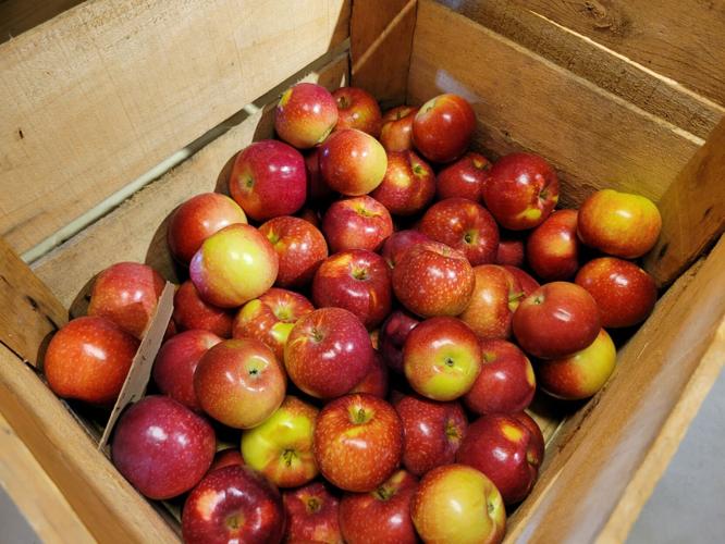 Kitchen tools for apple picking season