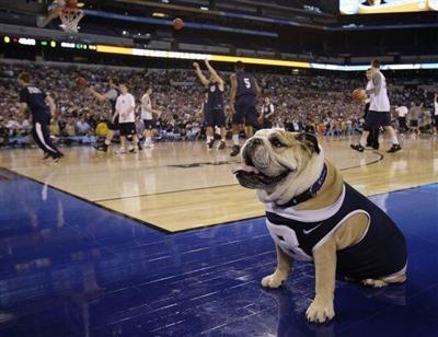 how many college basketball teams have a bulldog mascot