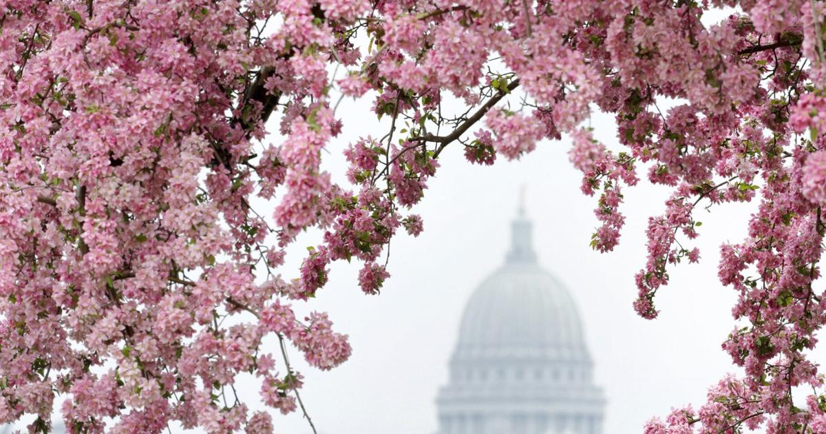 Yes, allergy seasons are getting worse, Madison doctor says