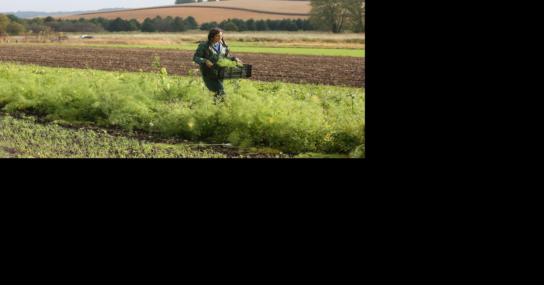 Grace Voss: Wisconsin needs to lead on farm worker protection