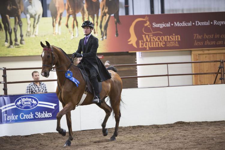 Photos Scenes from the Madison Classic Horse Show Local News
